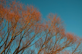 20111203-16h48-dsc_1417