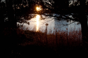 20111203-16h51-dsc_1428