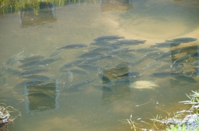 20130315-14h36-dsc_6409